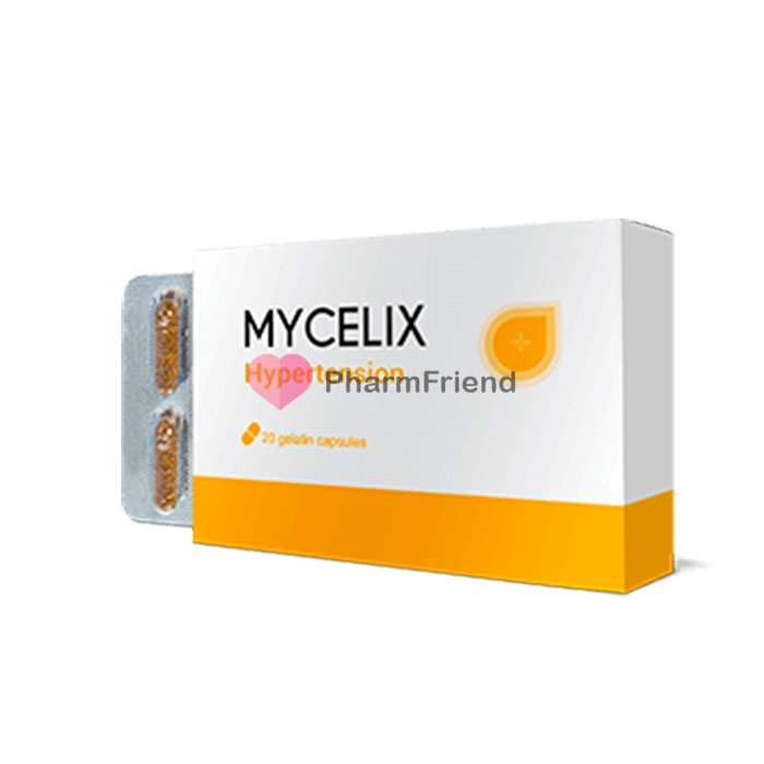 Mycelix nach Pforzheim